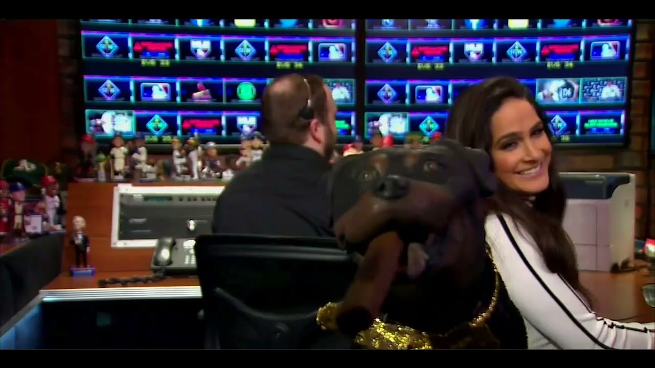 Triumph the insult comic dog joins hot stove 3