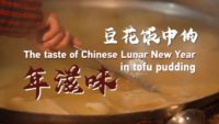 The taste of chinese lunar new year in tofu pudding 13