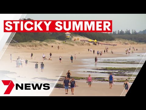 High humidity brings sticky conditions to south east queensland | 7news 17