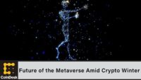 Future of the metaverse amid crypto winter 4