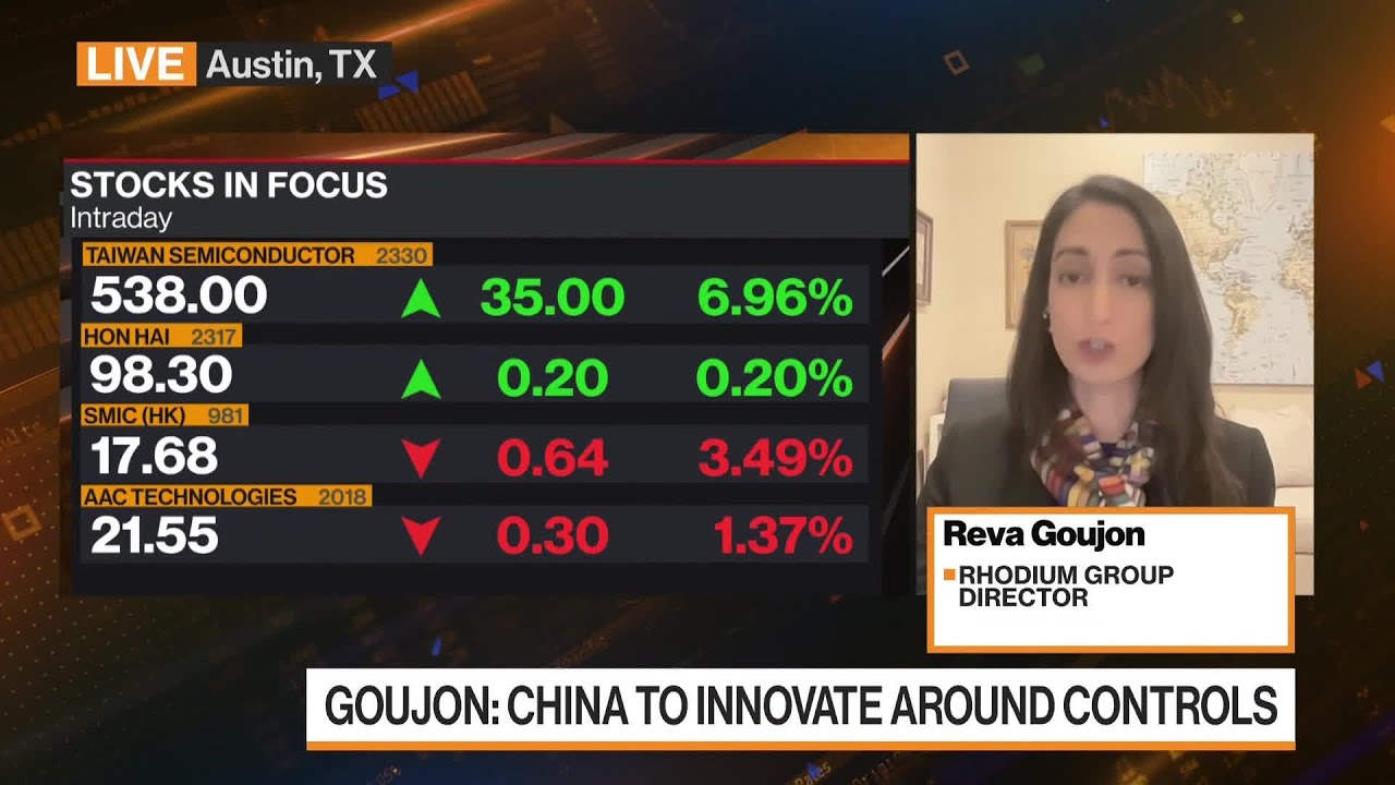 Chip controls could slow china’s tech industry: goujon 5