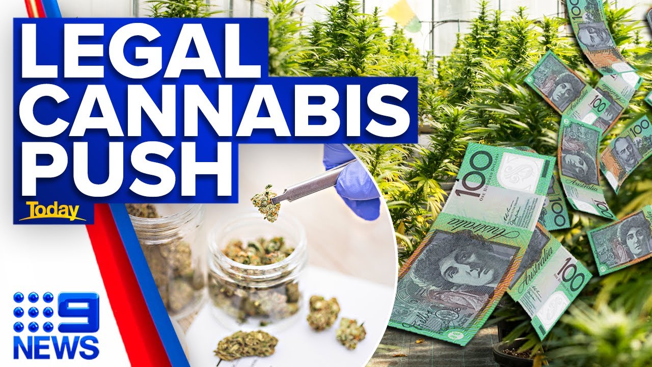 Greens plan to legalise cannabis could inject billions into the economy | 9 news australia 4
