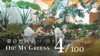 'oh! My greens' ep. 4: they built a 'rainforest garden' at home 4