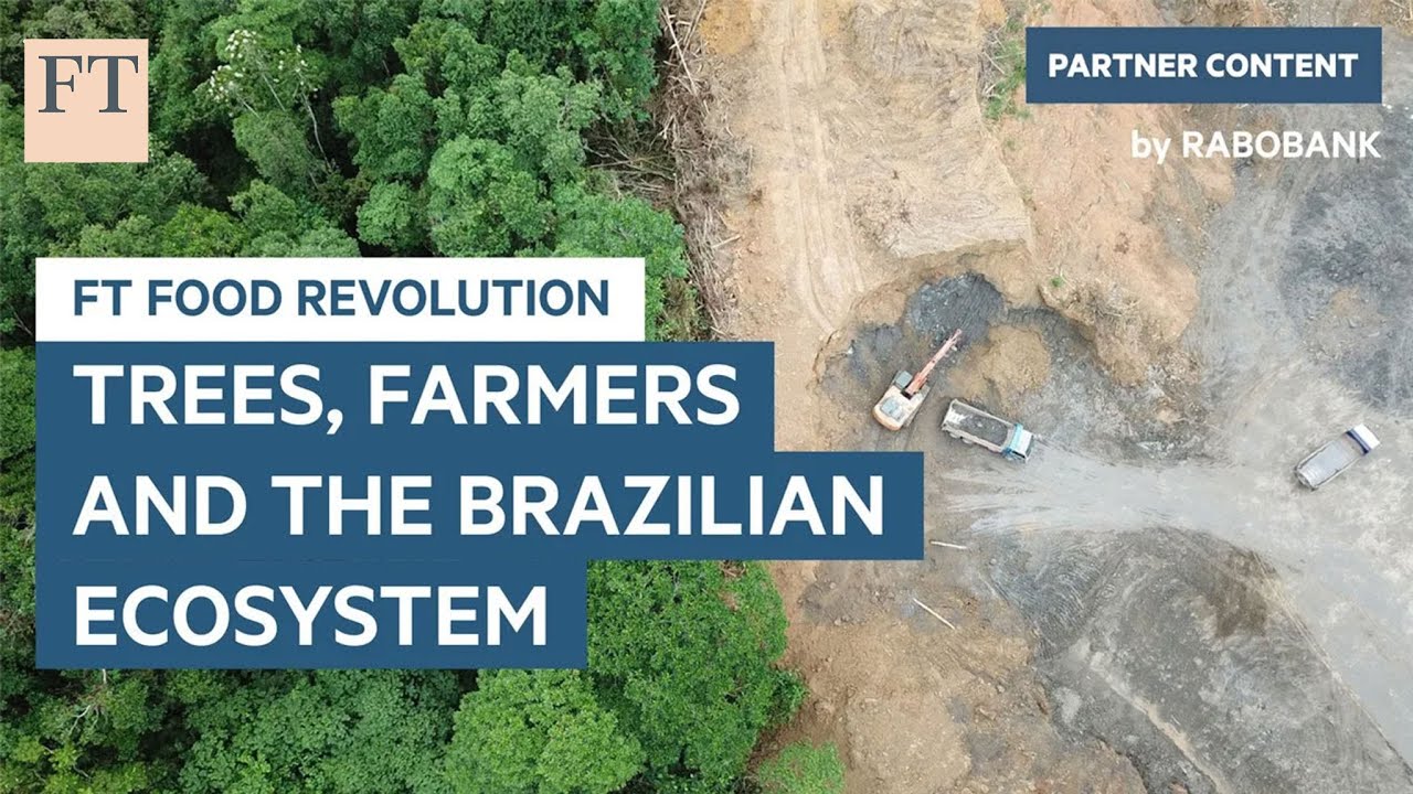 Trees, farmers and the brazilian ecosystem | ft food revolution 2