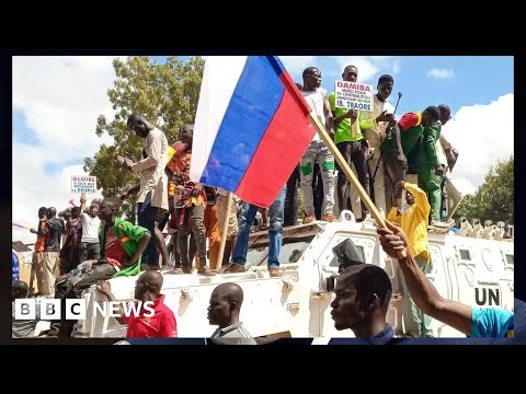 How russia disinformation operations are targeting africa – bbc news 8